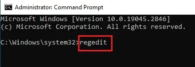 In the Command Prompt, type regedit